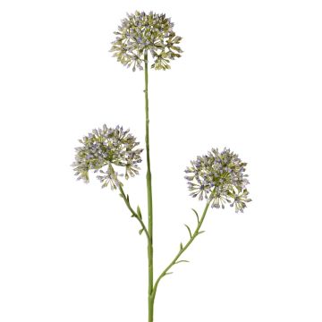 Rama decorativa Allium ALIKIO, azul, 65cm, Ø7cm Rama decorativa Allium ALIKIO, azul, 65cm, Ø7cm