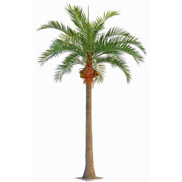 Palmera de coco artificial NARUN con cocos, 570cm Palmera de coco artificial NARUN con cocos, 570cm