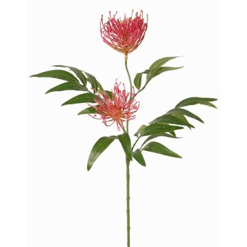 Plantas artificiales Rama de roble rojo VULKINTA con flores, fucsia, 75cm, Ø9-11cm