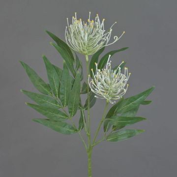 Rama de plantas artificiales de roble silvestre VULKINTA con flores, blanco, 75 cm, Ø 8-10 cm