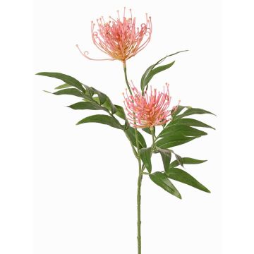 Plantas artificiales Rama de roble VULKINTA con flores, rosa, 75cm, Ø9-11cm