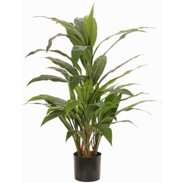 Cordyline artificial ORMOS, verde, 80cm Cordyline artificial ORMOS, verde, 80cm