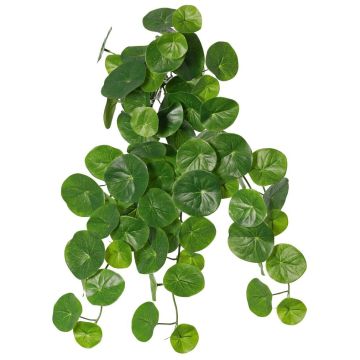 Planta artificial Stephania erecta ANOGIA en varilla, verde, 50 cm