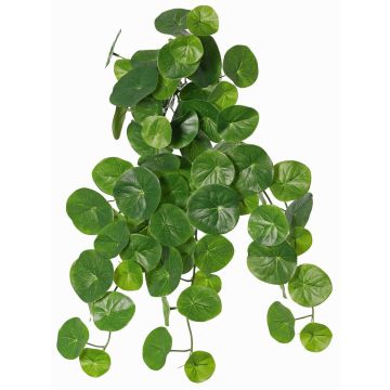Planta artificial Stephania erecta ANOGIA en varilla, verde, 50cm