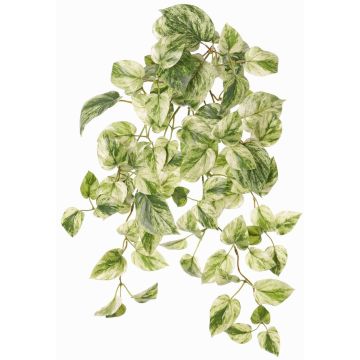 Planta artificial Efeututen colgante SITIA, varilla, verde-blanco, 50cm Planta artificial Efeututen colgante SITIA, varilla, verde-blanco, 50cm
