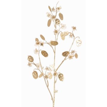 Rama de lunaria de satén artificial PINDUS con flores, crema y dorado, 85cm Rama de lunaria de satén artificial PINDUS con flores, crema y dorado, 85cm