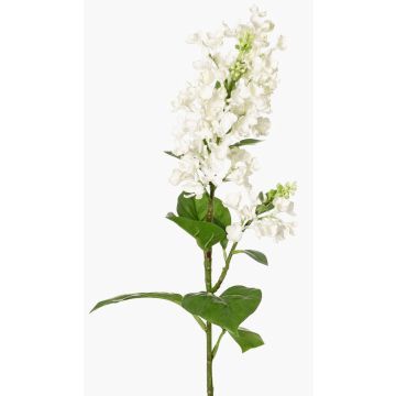 Flor artificial de lila ADMIR, blanca, blanco, 80cm, Ø6-9cm