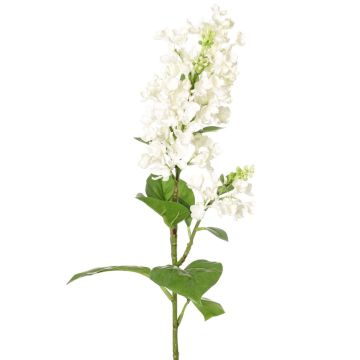 Flor artificial de lila ADMIR, blanca, 80 cm