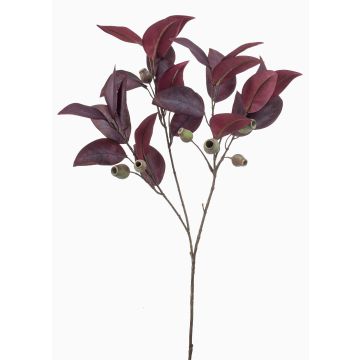 Rama artificial de eucalipto VIZIMIR con frutos, rojo burdeos, 80 cm