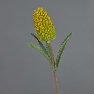 Flor artificial Banksia robur EREDIN, amarilla, 70 cm