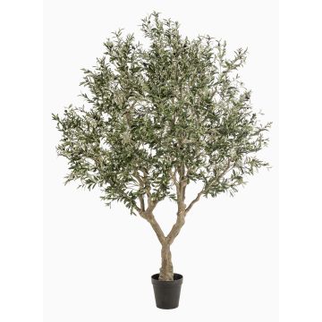 Olivo artificial ZALIKI, tronco artificial, frutos, verde, 250 cm Olivo artificial ZALIKI, tronco artificial, frutos, verde, 250 cm