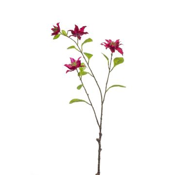 Rama decorativa clemátide RUHNA, rosa fuerte, 75 cm