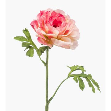 Flor artificial ranúnculo KRISTY, rosa-rosa, 60 cm, Ø 10 cm Flor artificial ranúnculo KRISTY, rosa-rosa, 60 cm, Ø 10 cm