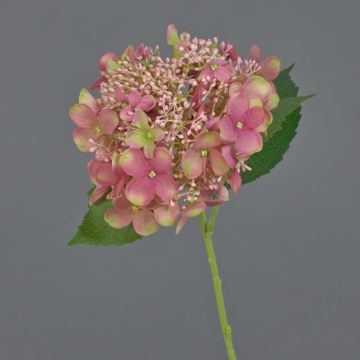 Flor artificial hortensia CALESA, rosa viejo, 50 cm