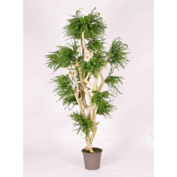 Árbol artificial Abelia DIMYTRO con troncos naturales, crossdoor, verde, 185cm - Fabricado en Italia