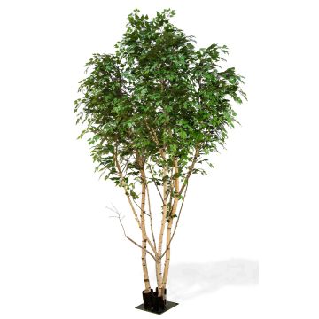 Abeto blanco artificial ILSEDORE, troncos naturales, verde, 400 cm - Fabricado en Italia
