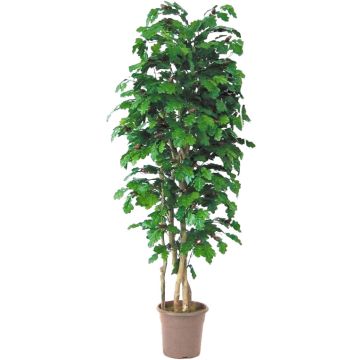 Roble artificial MIREEN, troncos naturales, con frutos, verde, crossdoor, 275 cm - Fabricado en Italia Roble artificial MIREEN, troncos naturales, con frutos, verde, crossdoor, 275 cm - Fabricado en Italia