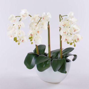 Orquídea Phalaenopsis artificial JASMIN en maceta de cerámica, blanco, 40cm