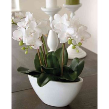 Orqu&iacute;dea Phalaenopsis artificial JASMIN en maceta de cer&aacute;mica, blanco, 40cm