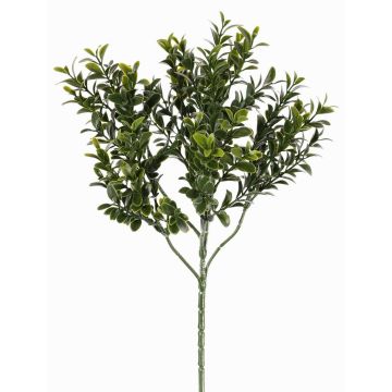 Rama de boj artificial TOM, crossdoor, 45cm