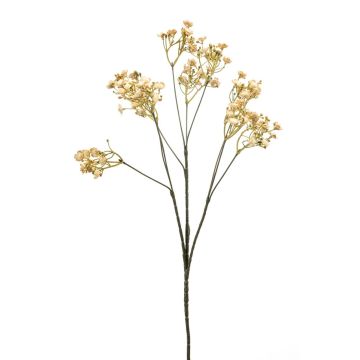 Gipsófila artificial LITAGO, aspecto seco, beige, 70 cm, Ø 1,5 cm