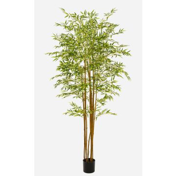 Árbol artificial de bambú japonés BAKNOR, troncos naturales, 210 cm