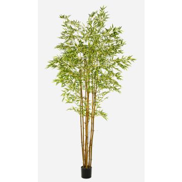 Árbol artificial de bambú japonés BAKNOR, troncos naturales, 240 cm