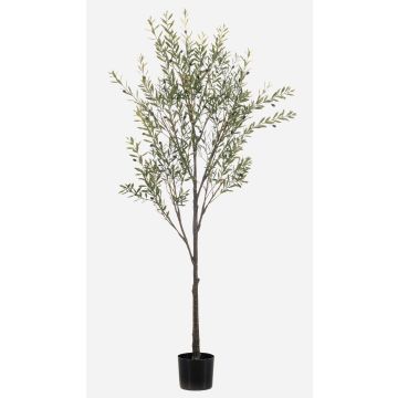 Olivo artificial LONIRB con frutos, tronco artificial, crossdoor, 175 cm Olivo artificial LONIRB con frutos, tronco artificial, crossdoor, 175 cm