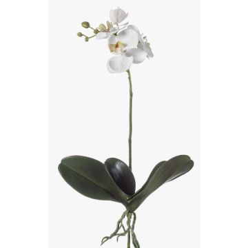 Orquídea phalaenopsis artificial FAO en vara de ajuste, blanco, 45cm