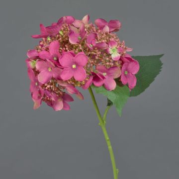 Flor artificial Hortensia CALESA, rosa, 50 cm