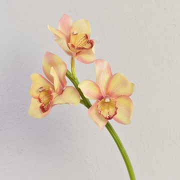 Tallo de Orquídea Cymbidium artificial SERAPHINA, amarillo-rosa, 45cm