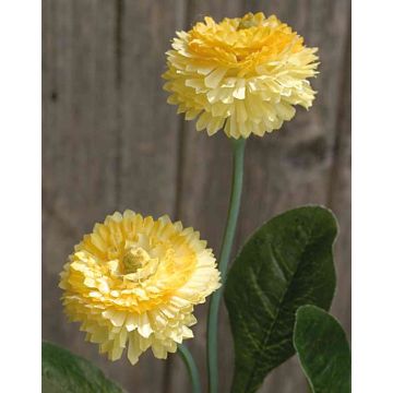 Bellis artificial FENIA, amarillo, 25cm Bellis artificial FENIA, amarillo, 25cm