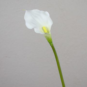 Callas sintética PEPITA, blanco, 55cm, 7x11cm