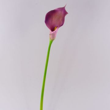 Cala artificial TERESA, violeta, 70cm, 10x18cm