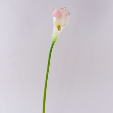 Cala artificial TERESA, blanco-rosa, 70cm, 10x18cm