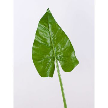 Hoja de calla artificial FRANSCHESKA, verde, 70cm Hoja de calla artificial FRANSCHESKA, verde, 70cm