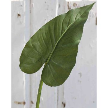 Hoja de calla artificial FRANSCHESKA, verde, 70 cm