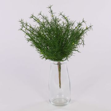 Asparagus sprengeri artificial FREDERICK, en vara de fijación, 25cm Asparagus sprengeri artificial FREDERICK, en vara de fijación, 25cm