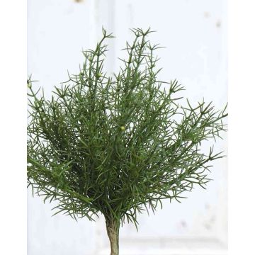 Asparagus sprengeri artificial FREDERICK, en vara de fijación, 25cm