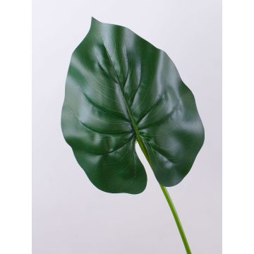 Hoja de alocasia odora artificial HUGUR, verde, 75cm
