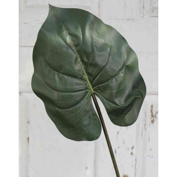 Hoja de alocasia odora artificial HUGUR, verde, 75cm
