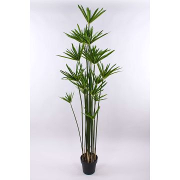 Cyperus sintético ZAHIR, verde, 180cm Cyperus sintético ZAHIR, verde, 180cm