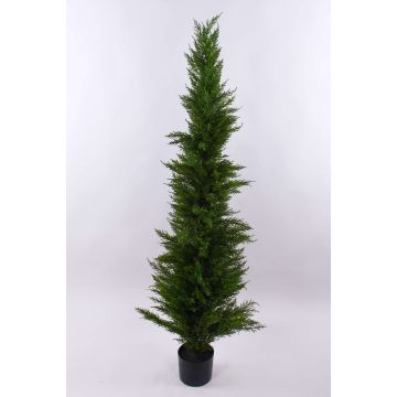 Cedro artificial HENRIETTE, macetero decorativo, verde, 150cm