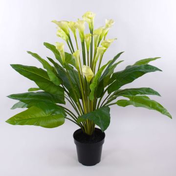 Calla artificial LAURENCE, blanco, 130cm, 8x13cm Calla artificial LAURENCE, blanco, 130cm, 8x13cm