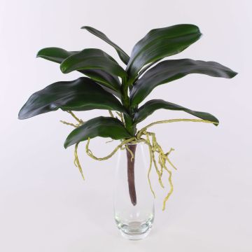 Hojas artificiales de Orquídea Phalaenopsis ARLETTE, raíces aéreas, 45cm