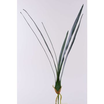 Hojas artificiales de Orquídea Cymbidium AURICA, raíces aéreas, 70cm Hojas artificiales de Orquídea Cymbidium AURICA, raíces aéreas, 70cm