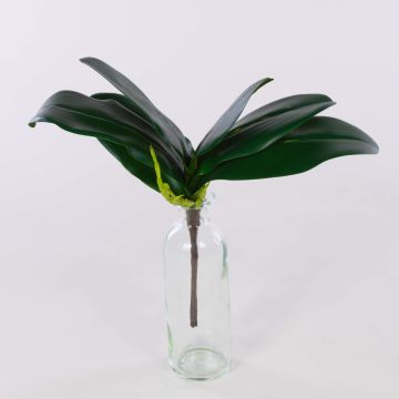 Hojas artificiales de Orquídea Phalaenopsis DAPHI, raíces aéreas, 29x33cm