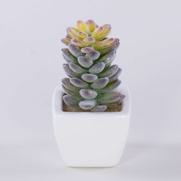 Pachyphytum oviferum artificial ROBBIE, maceta de cerámica, verde, 13cm