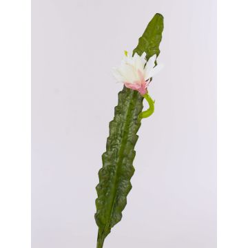Cactus artificial Reina de la Noche DOMENICA, flor, blanco, 50cm