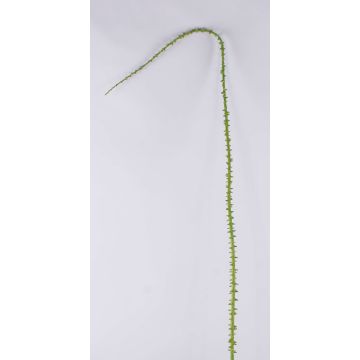 Rama artificial de espinas de rosa ALOISA, verde-marrón, 180cm Rama artificial de espinas de rosa ALOISA, verde-marrón, 180cm
